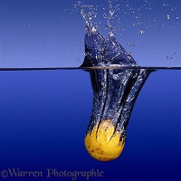 Orange dropped into water