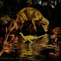 Hypsilophodon and Iguanodon