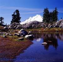 Mt. Baker and pond