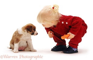 Little girl kissing a puppy