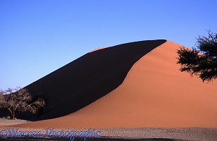 Dune climbing in the Namib Desert