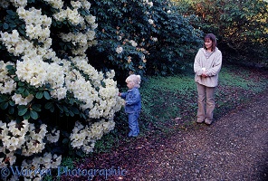 Jane and little girl looking at rhododendron flowers