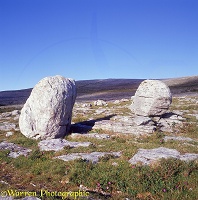 Limestone erratic boulders