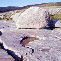 Limestone erratic boulder