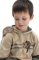 Boy with a gerbil on his shoulder