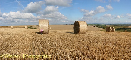 Girl with roly-poly bales