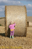 Little girl with roly-poly bale