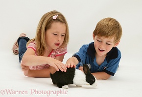 Children with a young Dutch rabbit
