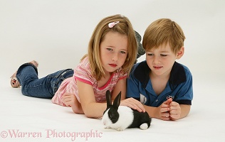 Children with a young Dutch rabbit