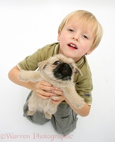 Child holding up Pugzu (Pug x Shih-Tzu) pup