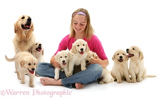 Girl with Golden Retriever and puppies