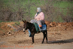 Woman on a donkey