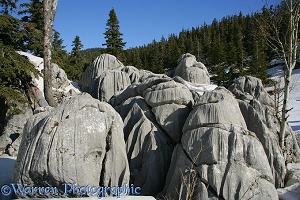 Sculpted limestone rocks