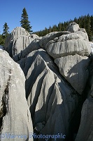 Sculpted limestone rocks