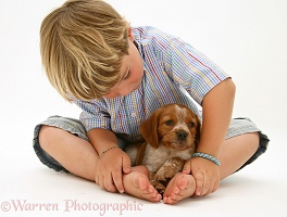 Boy with Brittany Spaniel pup
