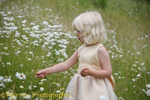 Girl in field of Ox-eye Daisies