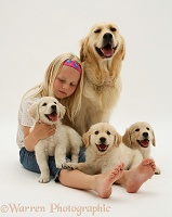 Child with Golden Retriever bitch and three pups