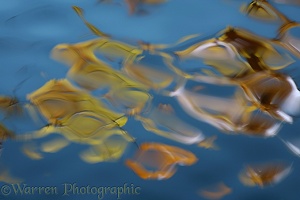 Autumn reflections with ripples