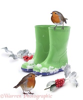 Robins and green wellies