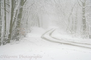 Snowy road with misty atmosphere