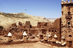 Ruins of the El Glaoui Kasbah