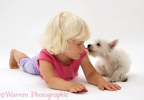 Little girl with Westie pup