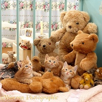 Three ginger kittens in cot with teddy bears