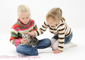 Girls with silver tabby kitten