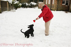 Lady playing with her puppy in the snow
