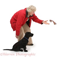 Lady throwing a toy for a puppy