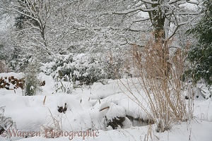 Garden buried in midwinter snow