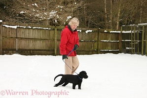Lady walking her puppy in the snow