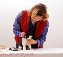 Vet examining a black-and-white kitten