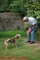 Man playing with an older dog