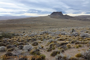 Rugged Patagonia landscape