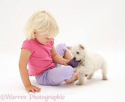 Girl and Westie pup