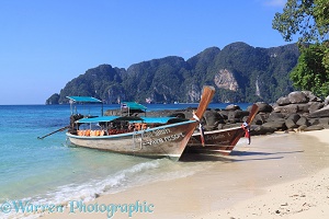 Long-tail boats on a tropical beach
