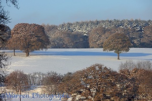 Early Snow on fields and trees