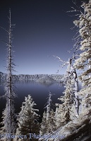 Mountain Hemlock trees and Crater Lake in near infrared
