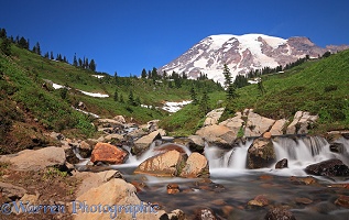 Mount Rainier and mountain stream
