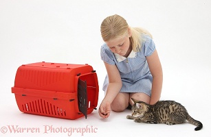 Girl encouraging a kitten into a cat carrier