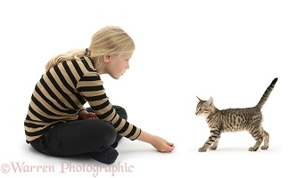 Girl beckoning a tabby kitten