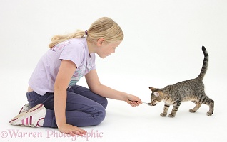 Girl feeding tabby kitten with a spoon