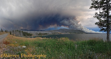 Lake and forest fire panorama
