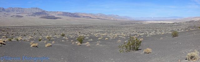 Desert scrub land panorama