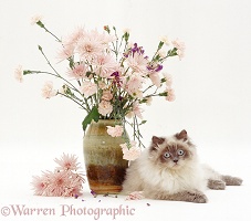 Cat with vase of flowers