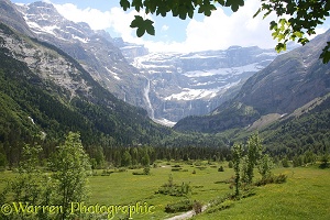 Alpine meadow overlooked by Le Cirque de Gavarnie