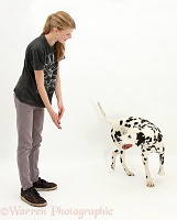 Lady teaching Dalmatian spin trick