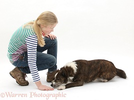 Girl training a dog to down position