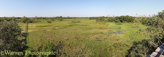 Pantanal panorama